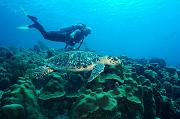 Bonaire 2018 10